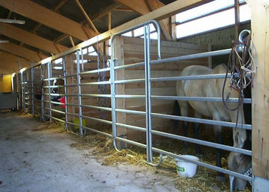 Une cour plus forte de bétail lambrisse plein antirouille de soudure de 360 degrés peint