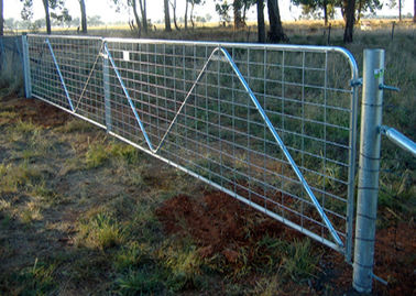 Porte Nouvelle-Zélande de barrière de maillon de chaîne de bétail à haute résistance et léger
