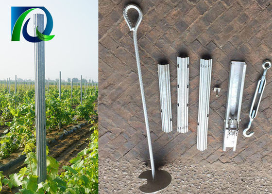 Zinguez les courriers enduits de treillis de vignoble d'épaisseur de 275G 1.5MM
