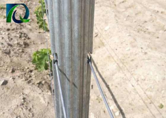courriers de treillis de vignoble en métal de 1.5mm 2.0mm 50x40mm avec des trous de H