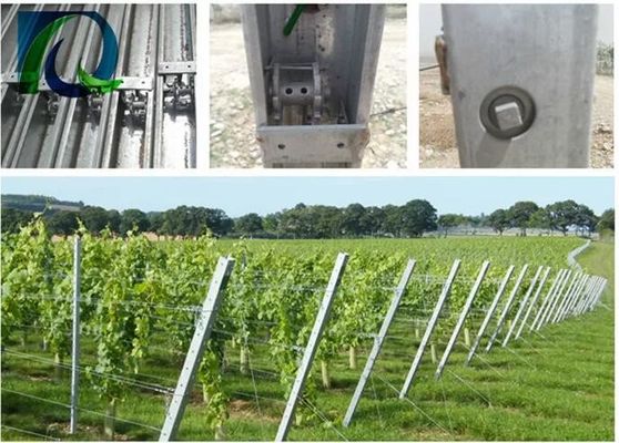 courrier de treillis de raisin de 1.5mm 54X30MM avec 2 trous latéraux de H