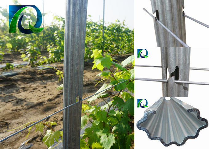 1.5mm- le treillis épais de vignoble en métal de 2.0mm signale favorable à l'environnement
