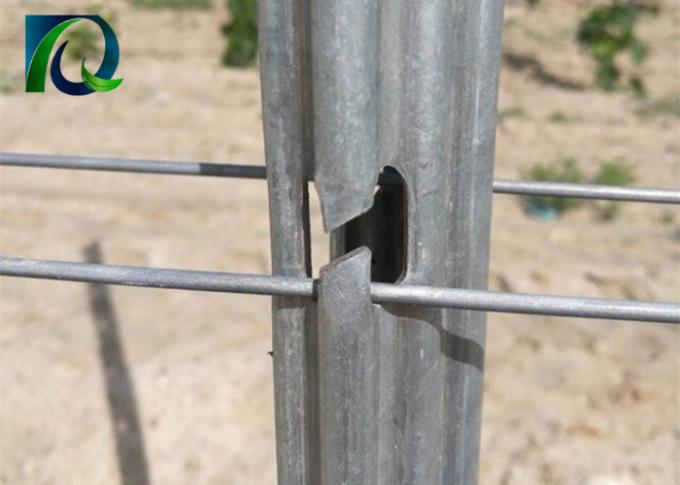 Courriers résistants de treillis de vignoble en métal avec la longue durée de vie de trous en forme de h